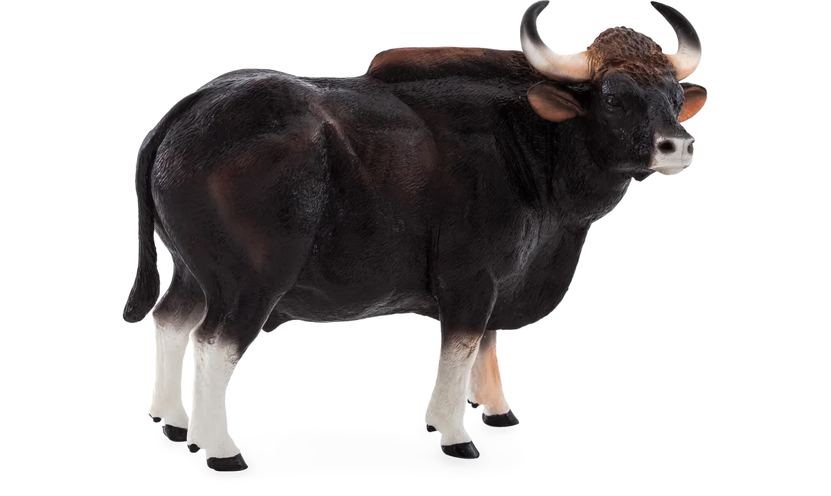 Mojo Gaur Bull - image 1