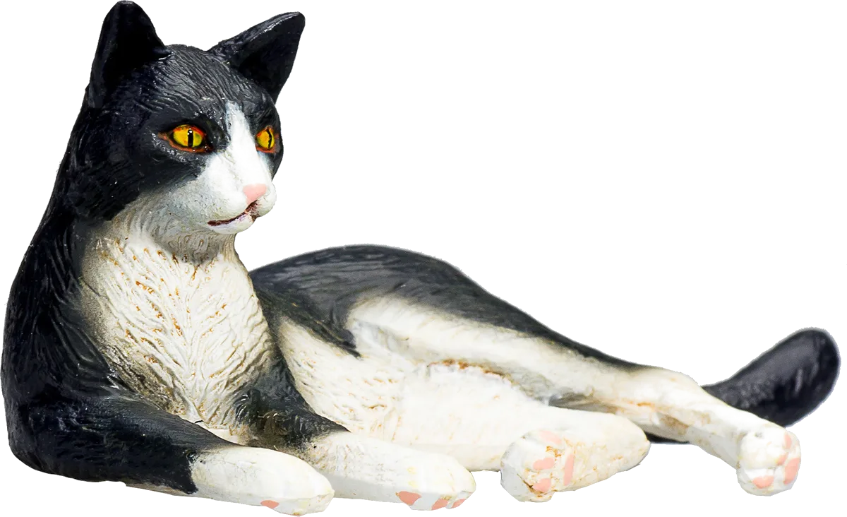 Mojo Cat, Black / White - image 1