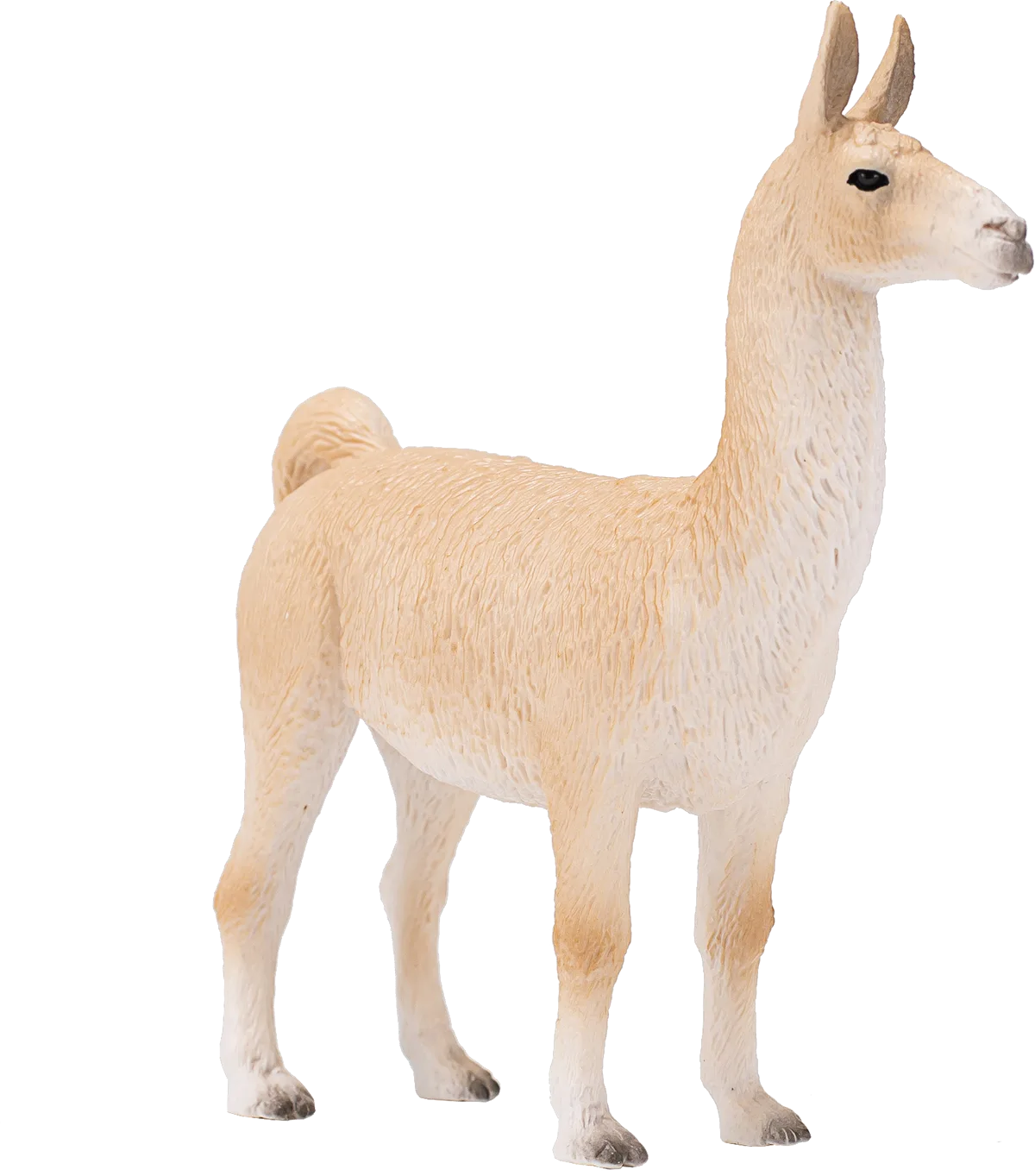 Mojo Llama - image 1