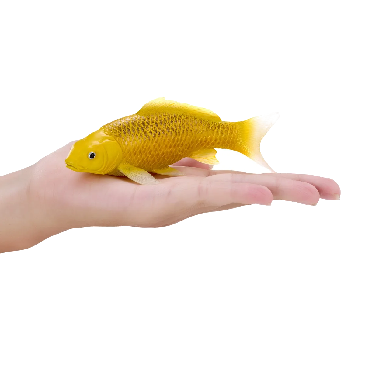 Mojo Koi Carp, Gold - image 1