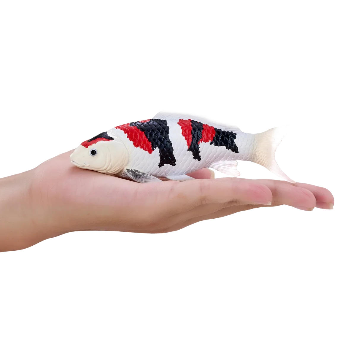 Mojo Koi Carp, Tricolor - image 1