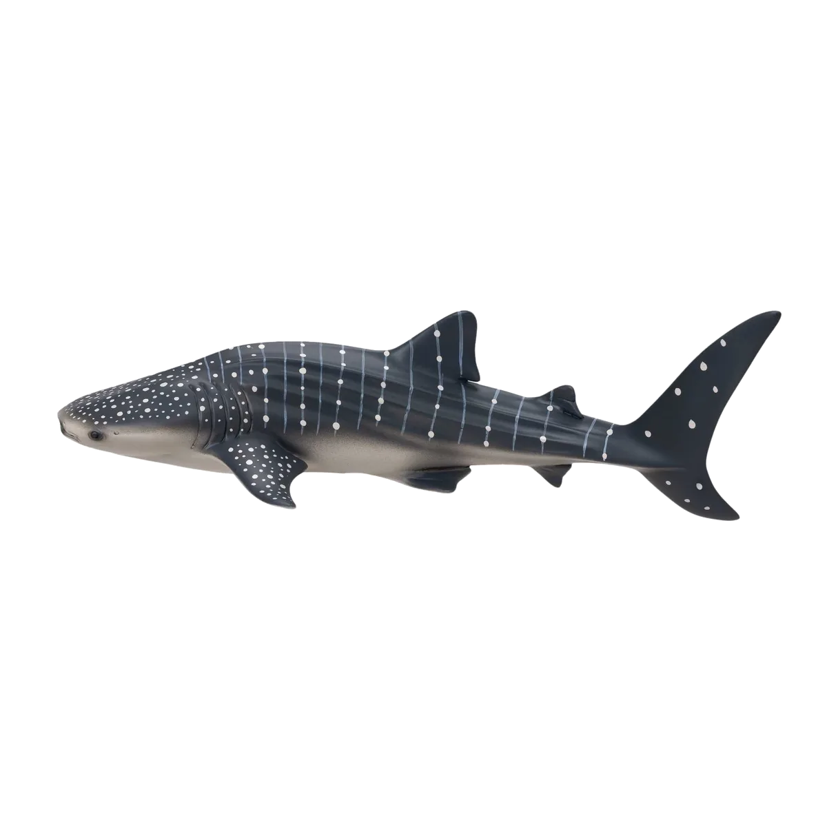 Mojo Whale shark - image 1